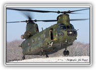 2010-01-06 Chinook RNLAF D-667_6